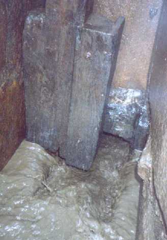 AV21