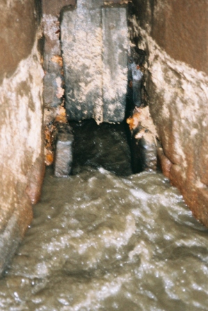 AV25