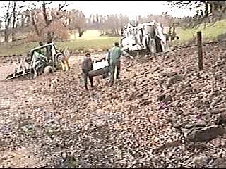Chevreuil19